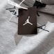 Светло-серый свитшот Air Jordan
